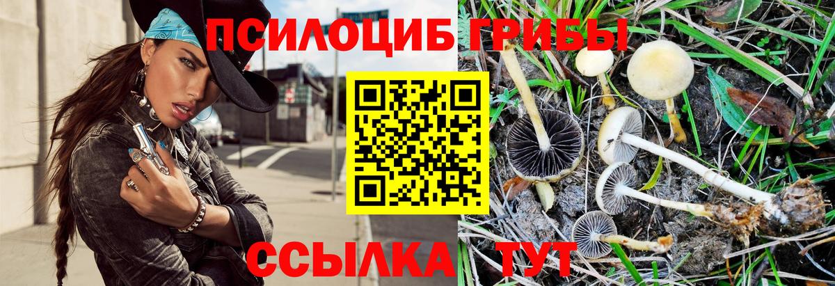 Псилоцибиновые грибы мухоморы Старая Купавна