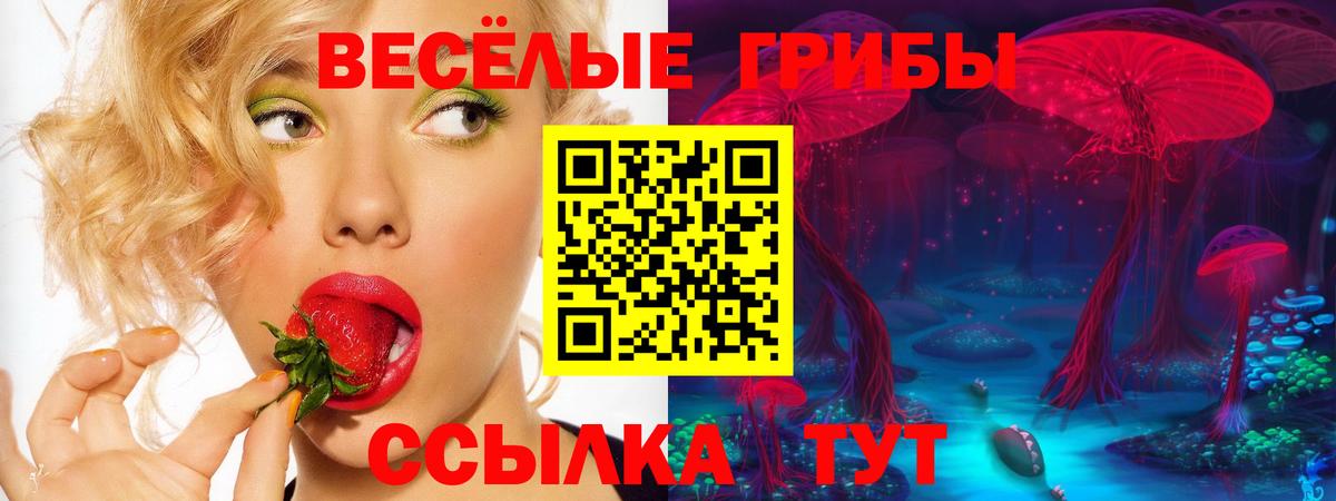 Галлюциногенные грибы Cubensis  Галлюциногенные грибы Psilocybine cubensis  продажа наркотиков  Вход с VPN  Старая Купавна 
